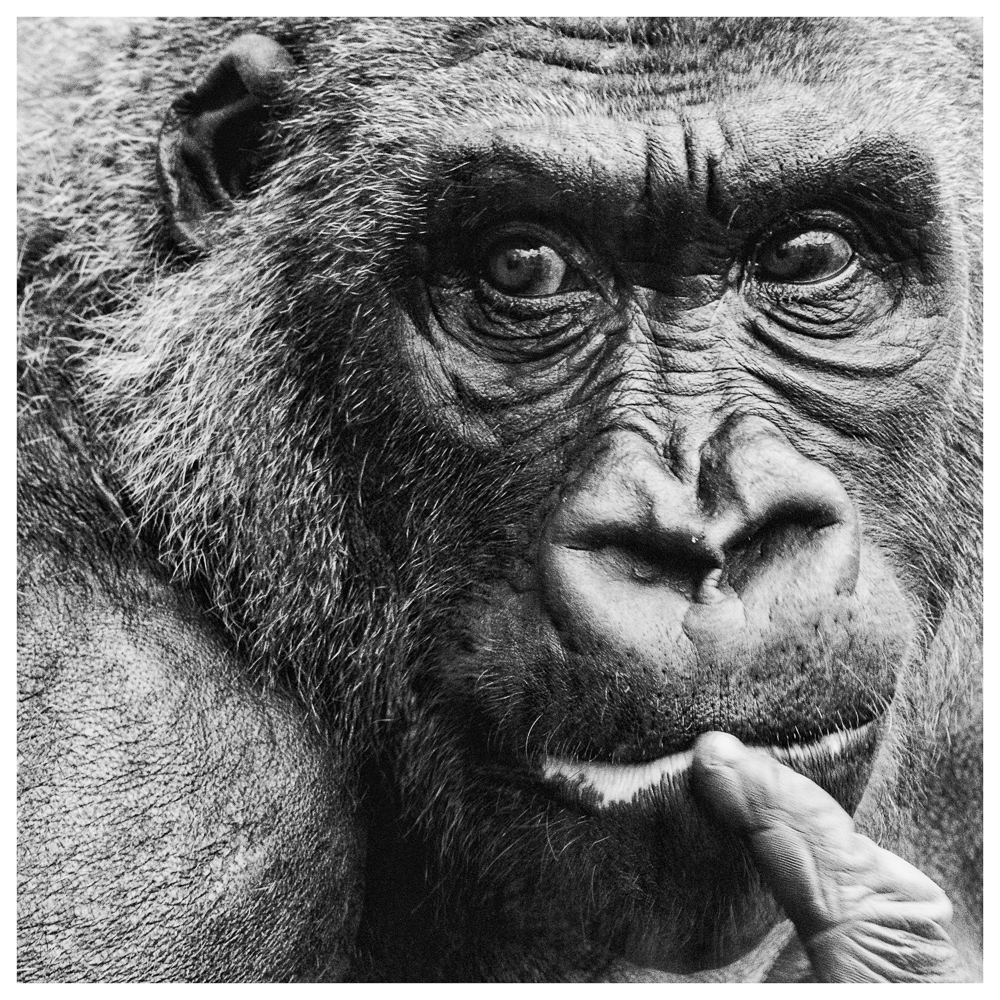 Platz 3 Juergen Feldmann